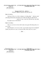 Đề thi hsg Ngữ văn tỉnh 2010-2011