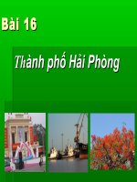 Bài 19 Thành phố Hải Phòng