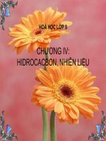 Bài 40 Dầu mỏ và khí thiên nhiên