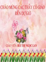 Bài 15.Bảo vệ di sản văn hóa (t1)