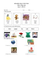 bộ đề thi cuối năm tiếng anh lớp 2
