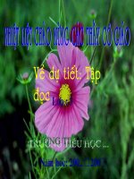 Tập đọc tuần 32 Ngôi Nhà Chung