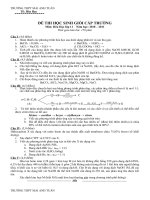 Đề + Đáp án HSG Hóa 11 cấp trường 2011