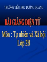 tu nhien xa hoi lop 3-tuan 30