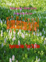 Bài : Bảo vệ môi trường