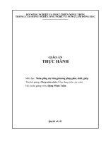 giáo án thực hành nhân giống cây bằng phương phá giâm chiết ghép