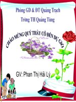 Luyện tập tuần 31 Hải Lý