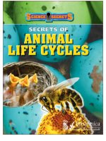 Secrects of Animal life cycle
