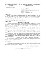 Đề thi HSG văn 10 thpt @new .tỉnh Vĩnh Phúc