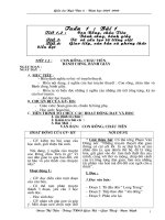 G:CÁC BÀI giảngNgu van 6 cực chuẩn.doc
