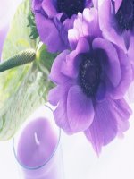 Giao tiep, ung xu ngoai xa hoi ( 2 tiet)