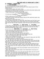 Ôn tập vật lí HKI