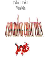 Giáo án bồi dưỡng tham khảo ngữ văn 6 Bài con rồng cháu tiên (9)