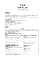 TUAN 19(CO UT)