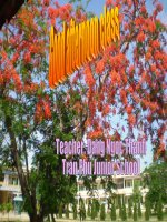 ENGLISH 8 : UNIT 13-LANGUAGE FOCUS