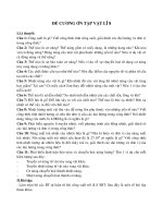 đề cương ôn tập lý 8 kỳ II(2010-2011)