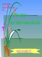 Giáo án bồi dưỡng thao giảng số học lớp 6 Bài Số phần tử của một tập hợp.. (9)