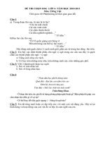 Đề thi HSGTV 4