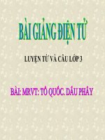 LT&C T20 TỔ QUỐC. DẤU PHẨY