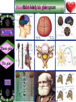 THẦN KINH VÀ GIÁC QUAN