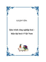 Qúa trình công nghiệp hóa Hiện đại hóa ở Việt Nam