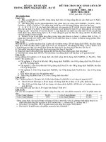 chon hsg hoa 11 - thpt ngo quyen- -bavi