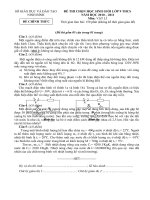 ĐỀ HSG LÍ NINH BÌNH 2010-2011