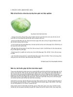 D:TUANTƯ LIỆU SỨC KHỎEBệnh tiêu hóa.doc