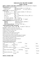 Ôn thi TN Tiếng Anh 12