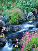 Tiet 20 Tong ket chuong I