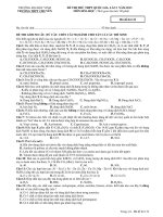 Đề thi và đáp án tham khảo thi thử THPT quốc gia môn hoá  (17)