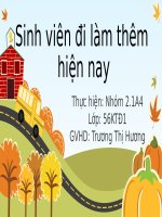 Đề tài sinh viên đi làm thêm hiện nay