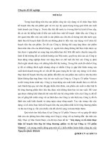 luận văn quản trị kinh doanh Xây dựng và tổ chức thực hiện kế hoạch tiêu thụ bê tông thương phẩm và đá tại Công ty Cổ phần Vimeco