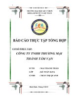 Báo cáo thực tập tổng hợp tại công ty TNHH TM Thành Tâm Vạn
