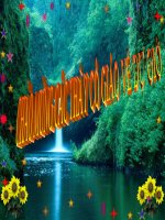 TĐ TRĂNG ƠI TỪ ĐÂU ĐẾN( BÉO)