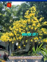 Ôn tập chương II ( Hinh 7 )