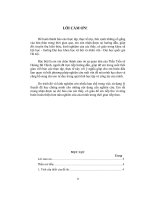 tập quán chăm sóc sức khoẻ sinh sản của người thái ở mộc châu (nghiên cứu tại xã tân lập, huyện mộc châu, tỉnh sơn la)