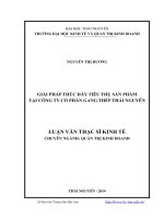 Giải pháp thúc đẩy tiêu thụ sản phẩm tại Công ty Cổ phần gang thép Thái Nguyên