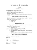 ĐỀ CƯƠNG CN 7 hkII