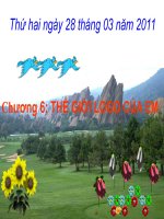 Bài 3 Sử dụng câu lệnh lặp