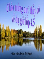 LTVC: Vị ngữ trong câu kể Ai làm gì?