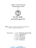 Phân tích tác động của chính sách bảo trợ mẫu dịch của VN và ý nghĩa của vấn đề nghiên cứu