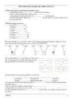 Đề cương ôn tập Vật lí 7 Kì II