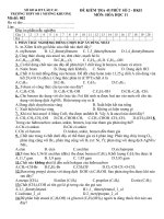 BÀI KIỂM TRA 45 PHÚT HÓA HỌC 11 SỐ 2 HK II