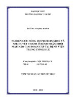 Nghiên cứu nồng độ protein S100B và NSE huyết thanh ở bệnh nhân nhồi máu não giai đoạn cấp tại bệnh viện trung ương Huế