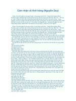 Cảm nhận về Ánh trăng