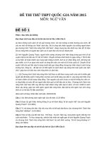 35 đề thi Ngữ Văn 2015 theo đề minh họa của bộ GD  ĐT (có đáp án và thang điểm chi tiết)