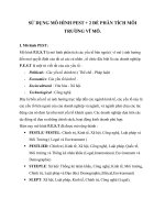 Thảo luận môn quản trị học: Sử dụng mô hình Pest +2 để phân tích môi trường vĩ mô