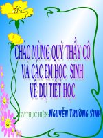 Tiết 62 - bài 51 : Mốc trắng - nấm rơm ( Hội giảng hay )