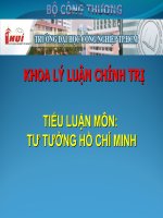 Tiểu luận môn Tư tưởng Hồ Chí Minh